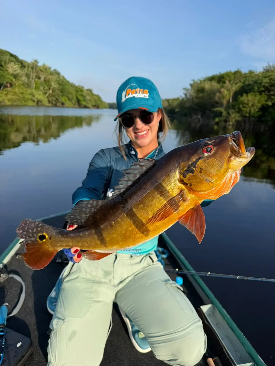 Tucunaré capturado em pescaria esportiva no Rio Negro, Barcelos (AM)