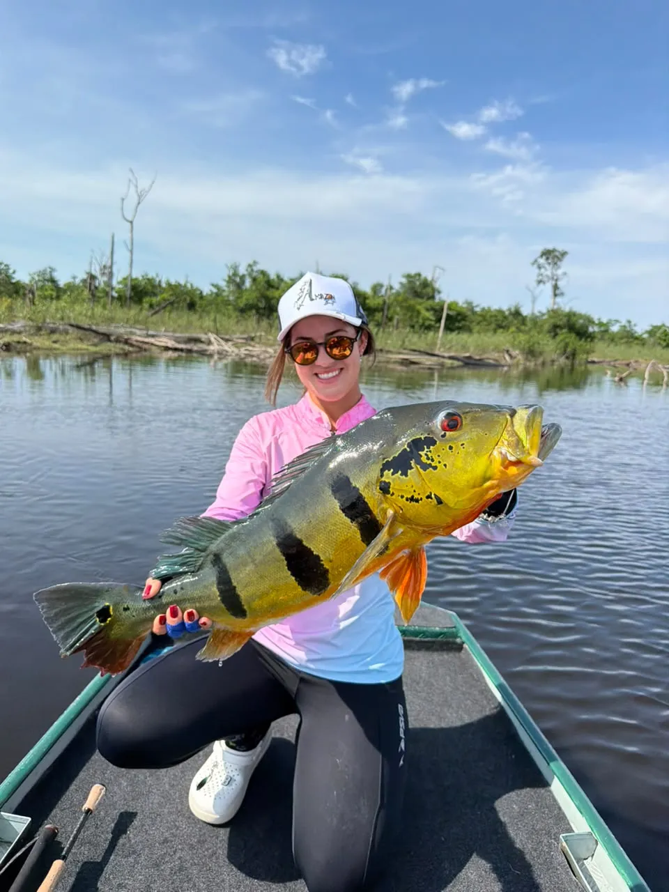 Pescador com tucunaré-açu fisgado no Rio Negro, em Barcelos (AM)