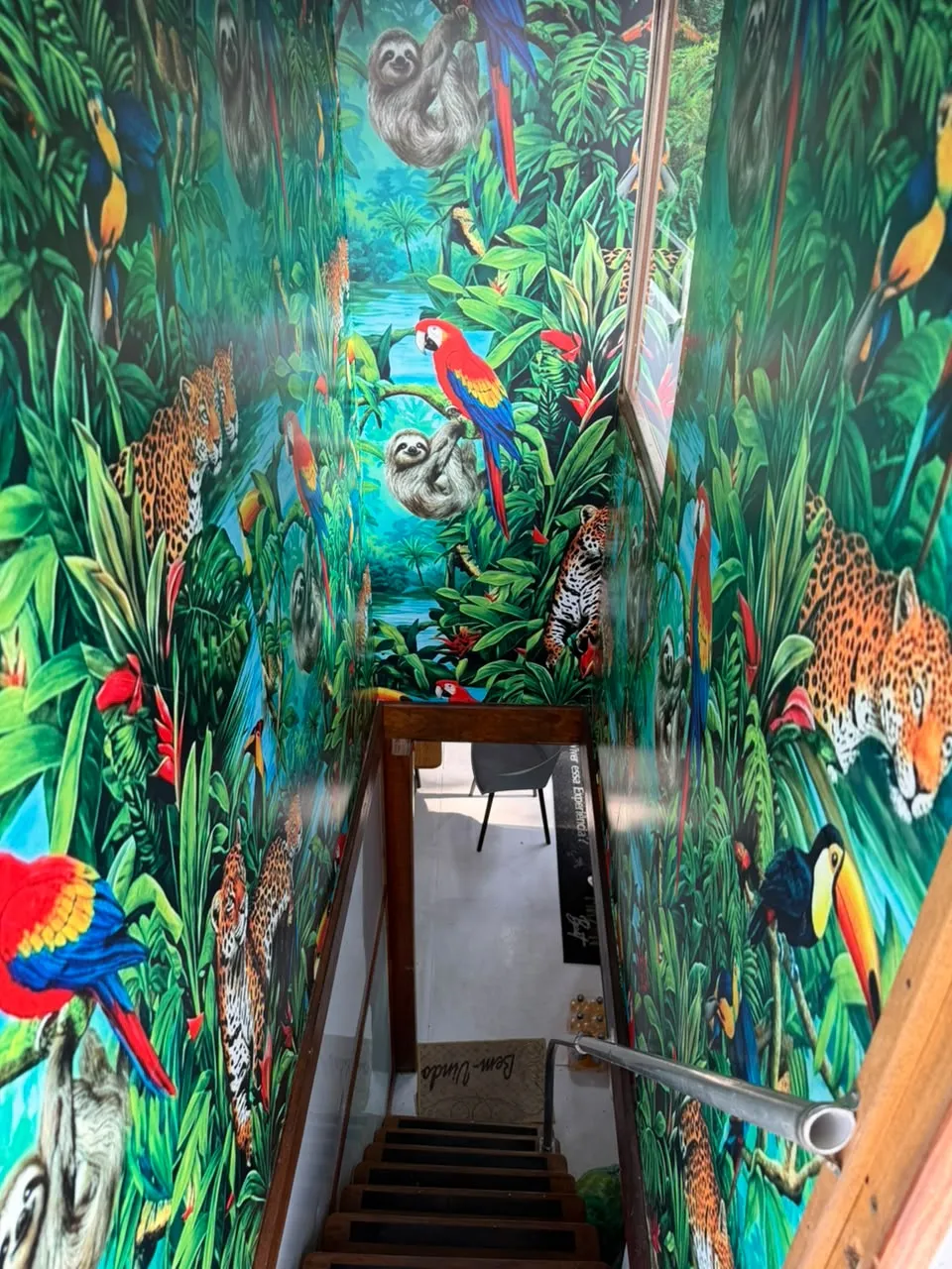Barco hotel de pesca da Amazon Bait no Rio Negro